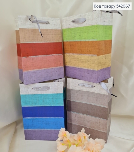 Пакет бумажный средний полоска блеск 23х18 см в ас. 542067 фото 1
