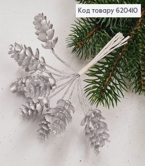 Пучок гілочок  Шишечок СРІБЛО 10шт, 10см 620410 фото