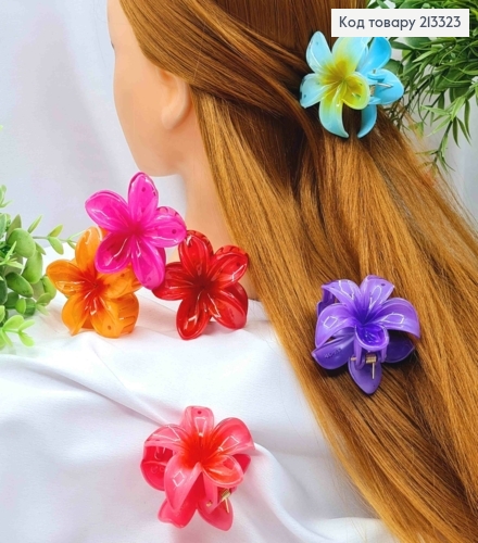 Краб пластик глянцевый "Гавайский Цветок", размером 6см, яркие цвета в ассортименте. 213323 фото 1