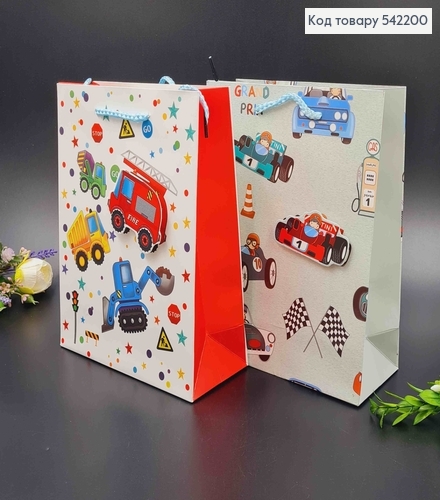 Пакет бумажный, "Техника", 18*23*8см в ассорт. 542200 фото 1