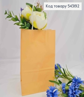 Пакет крафтовый, 13*21*8см, Бежевый 543192 фото