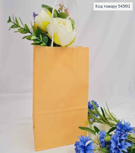 Пакет крафтовый, 13*21*8см, Бежевый 543192 фото 1