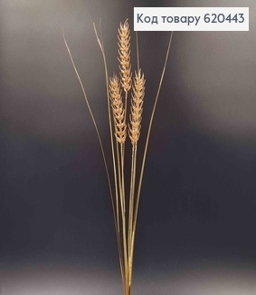 Три Колоска, декоративний, ЗОЛОТО, блиск, 78см 620443 фото