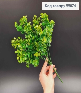 Искусственная веточка, самшит круглолистный, 7 веточек на металлическом стержне 35 см. 551174 фото