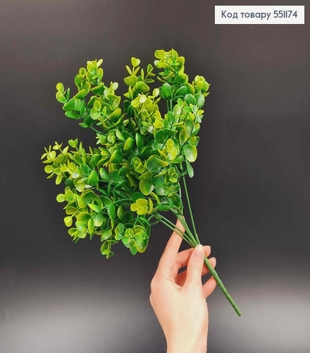 Искусственная веточка, самшит круглолистный, 7 веточек на металлическом стержне 35 см. 551174 фото 1