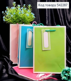 Пакет бумажный в "Клеточка" и "Линия", 23*18*10см, в ассортименте 542287 фото