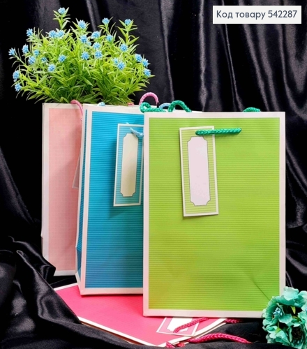 Пакет паперовий в "Клітинку" та "Лінію", 23*18*10см, в асортименті 542287 фото 1